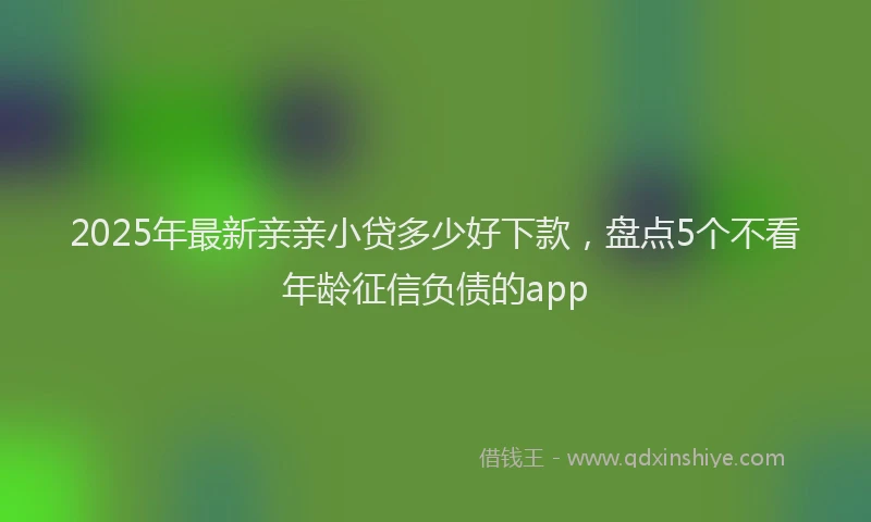 2025年最新亲亲小贷多少好下款，盘点5个不看年龄征信负债的app