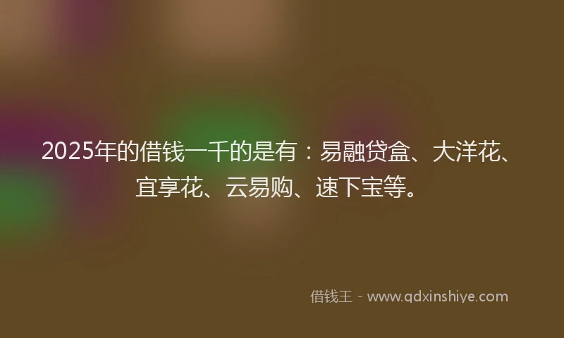 2025年的借钱一千的是有：易融贷盒、大洋花、宜享花、云易购、速下宝等。