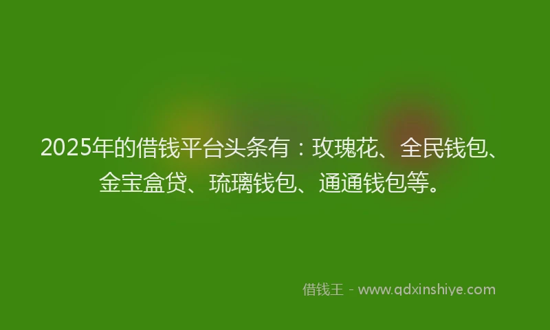 2025年的借钱平台头条有：玫瑰花、全民钱包、金宝盒贷、琉璃钱包、通通钱包等。