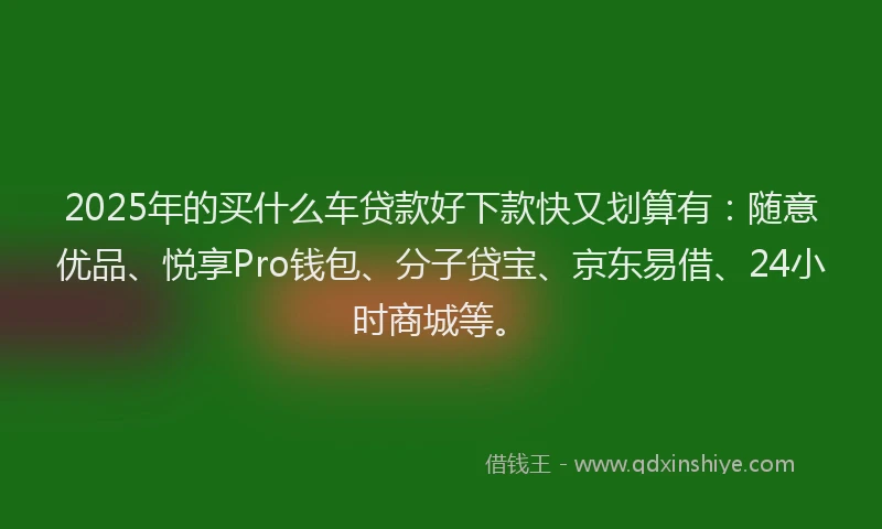 2025年的买什么车贷款好下款快又划算有：随意优品、悦享Pro钱包、分子贷宝、京东易借、24小时商城等。
