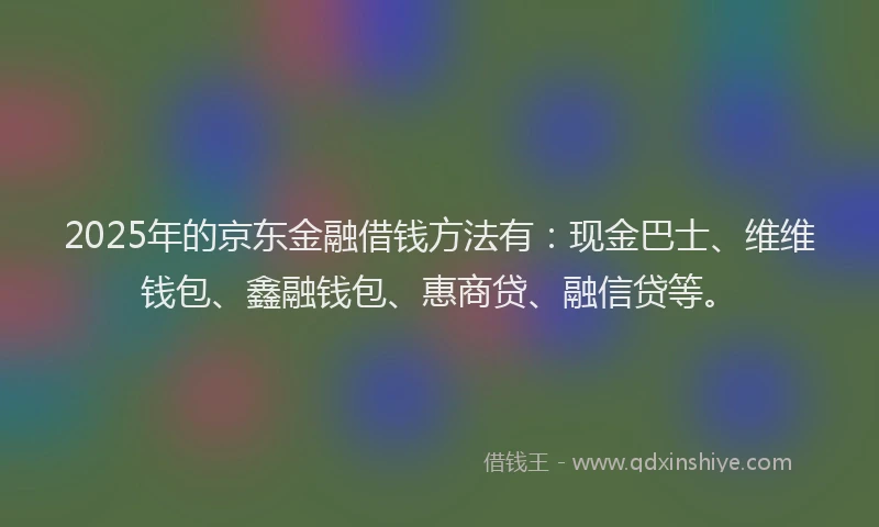 2025年的京东金融借钱方法有：现金巴士、维维钱包、鑫融钱包、惠商贷、融信贷等。