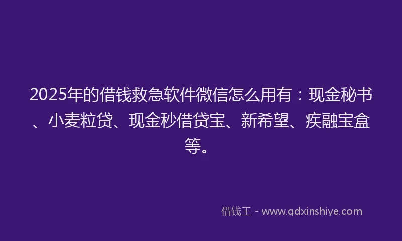 2025年的借钱救急软件微信怎么用有：现金秘书、小麦粒贷、现金秒借贷宝、新希望、疾融宝盒等。