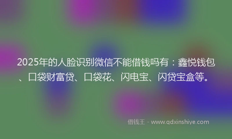 2025年的人脸识别微信不能借钱吗有：鑫悦钱包、口袋财富贷、口袋花、闪电宝、闪贷宝盒等。