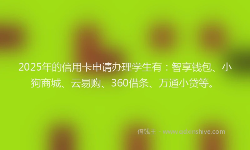2025年的信用卡申请办理学生有：智享钱包、小狗商城、云易购、360借条、万通小贷等。