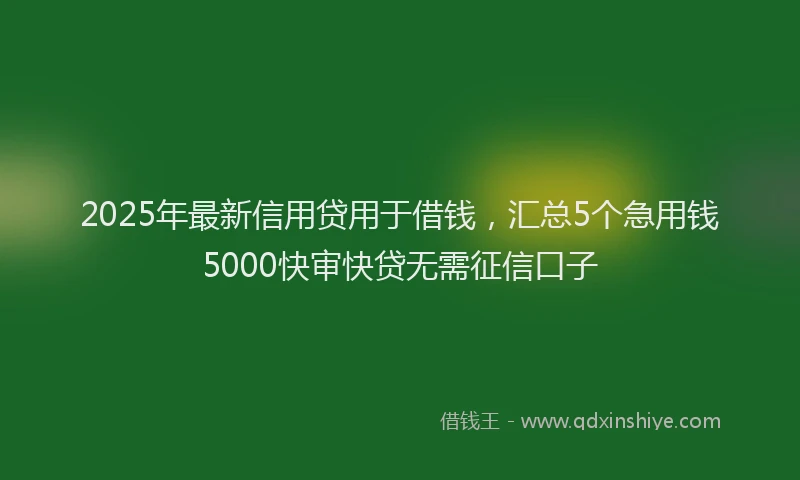 2025年最新信用贷用于借钱，汇总5个急用钱5000快审快贷无需征信口子