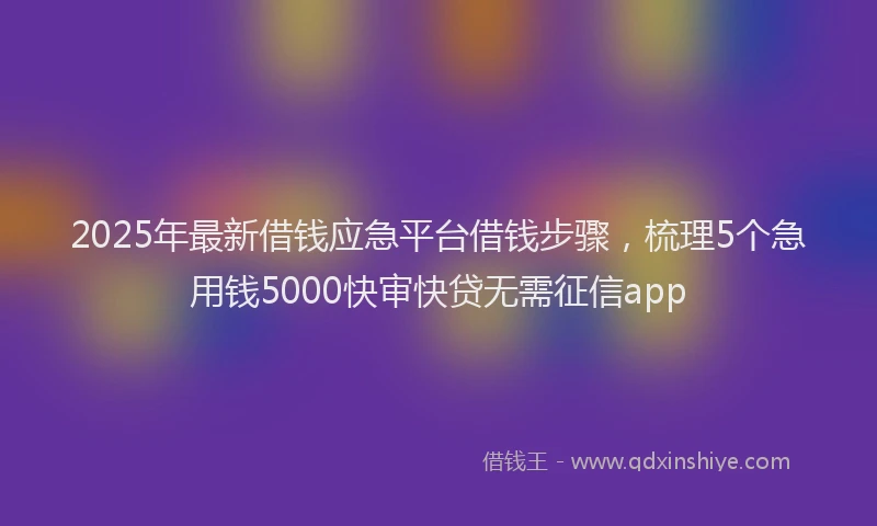 2025年最新借钱应急平台借钱步骤，梳理5个急用钱5000快审快贷无需征信app