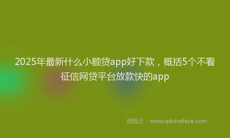 2025年最新什么小额贷app好下款，概括5个不看征信网贷平台放款快的app
