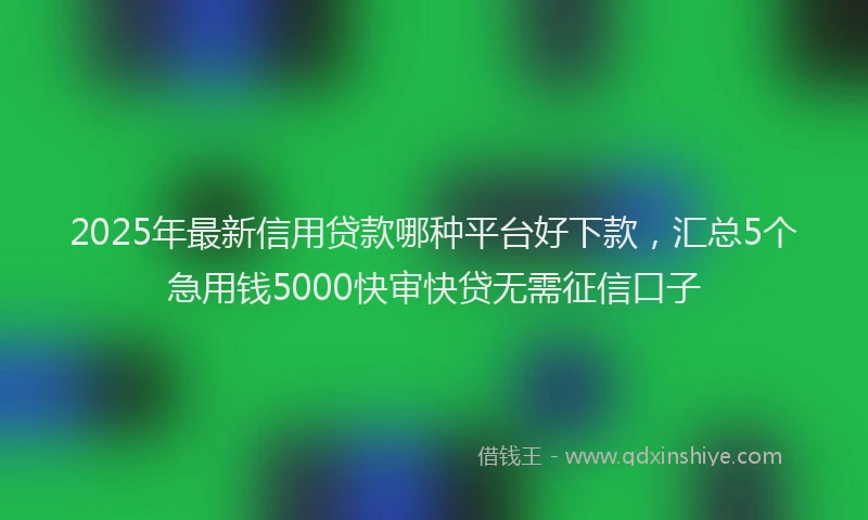2025年最新信用贷款哪种平台好下款，汇总5个急用钱5000快审快贷无需征信口子