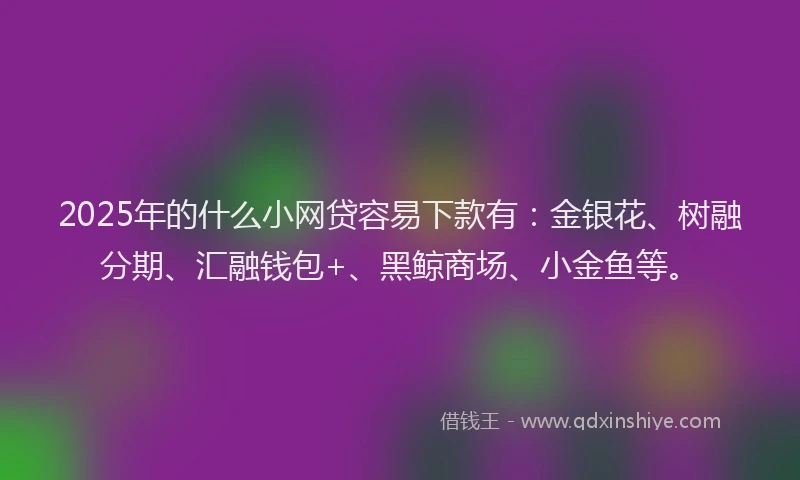 2025年的什么小网贷容易下款有：金银花、树融分期、汇融钱包+、黑鲸商场、小金鱼等。