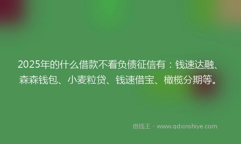 2025年的什么借款不看负债征信有：钱速达融、森森钱包、小麦粒贷、钱速借宝、橄榄分期等。