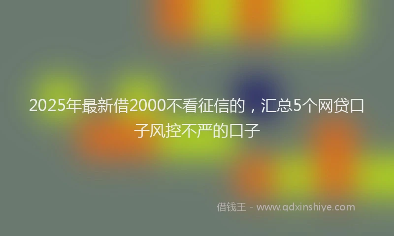 2025年最新借2000不看征信的，汇总5个网贷口子风控不严的口子