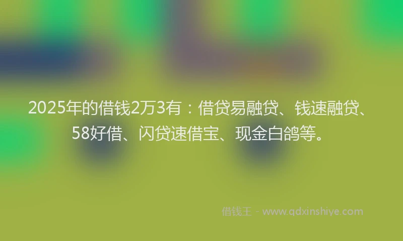 2025年的借钱2万3有：借贷易融贷、钱速融贷、58好借、闪贷速借宝、现金白鸽等。