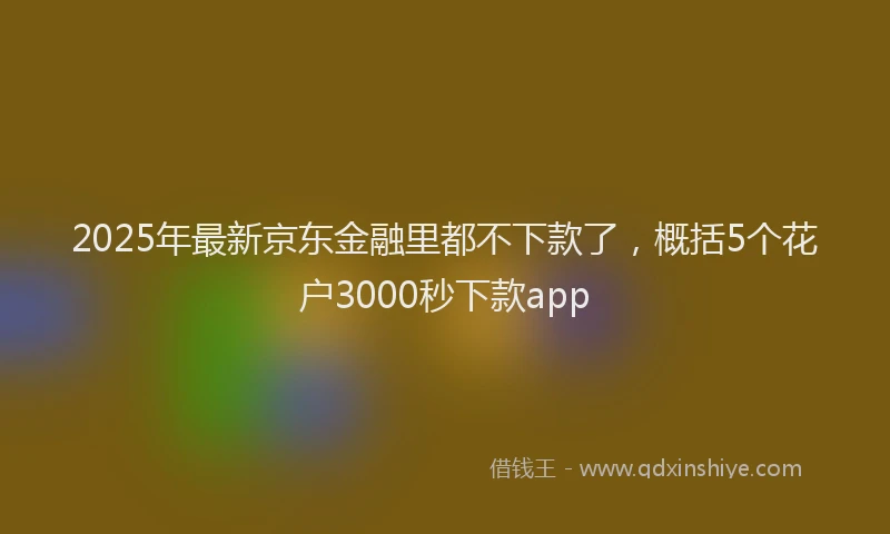 2025年最新京东金融里都不下款了，概括5个花户3000秒下款app