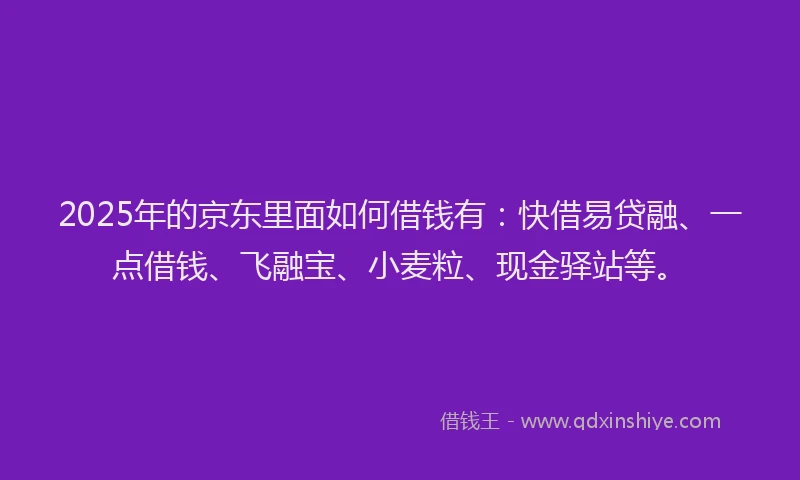 2025年的京东里面如何借钱有：快借易贷融、一点借钱、飞融宝、小麦粒、现金驿站等。