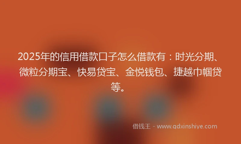 2025年的信用借款口子怎么借款有：时光分期、微粒分期宝、快易贷宝、金悦钱包、捷越巾帼贷等。