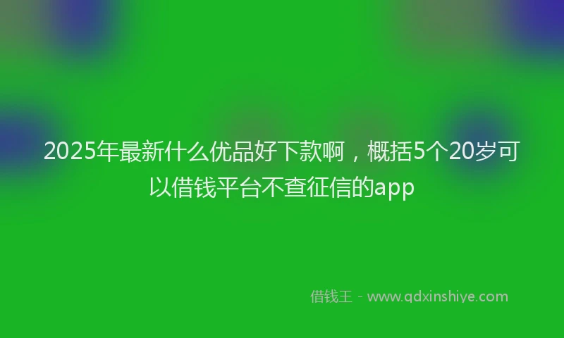 2025年最新什么优品好下款啊，概括5个20岁可以借钱平台不查征信的app