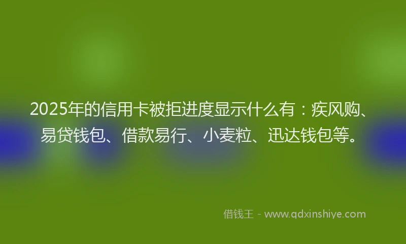 2025年的信用卡被拒进度显示什么有：疾风购、易贷钱包、借款易行、小麦粒、迅达钱包等。