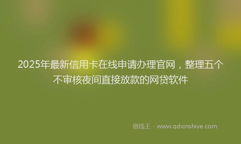 2025年最新信用卡在线申请办理官网，整理五个不审核夜间直接放款的网贷软件