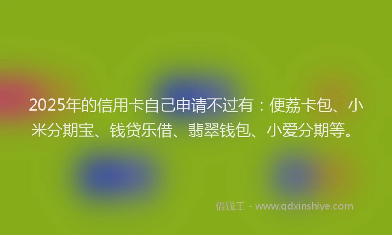 2025年的信用卡自己申请不过有：便荔卡包、小米分期宝、钱贷乐借、翡翠钱包、小爱分期等。