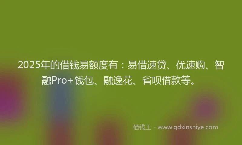 2025年的借钱易额度有：易借速贷、优速购、智融Pro+钱包、融逸花、省呗借款等。