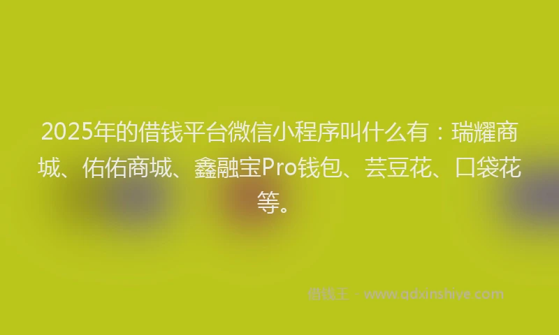 2025年的借钱平台微信小程序叫什么有：瑞耀商城、佑佑商城、鑫融宝Pro钱包、芸豆花、口袋花等。