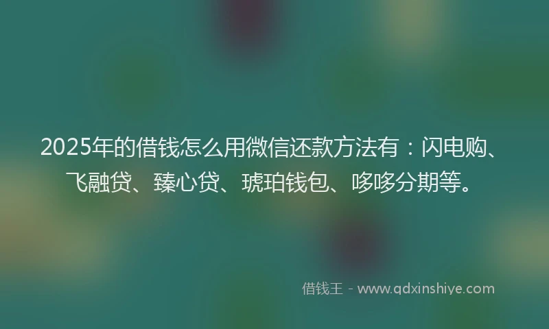 2025年的借钱怎么用微信还款方法有：闪电购、飞融贷、臻心贷、琥珀钱包、哆哆分期等。
