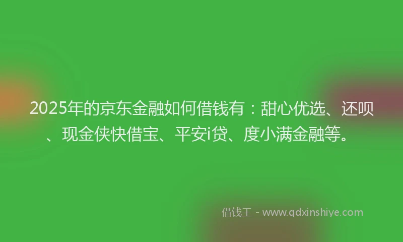 2025年的京东金融如何借钱有：甜心优选、还呗、现金侠快借宝、平安i贷、度小满金融等。