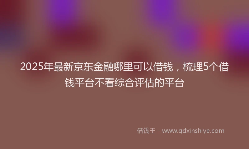 2025年最新京东金融哪里可以借钱，梳理5个借钱平台不看综合评估的平台
