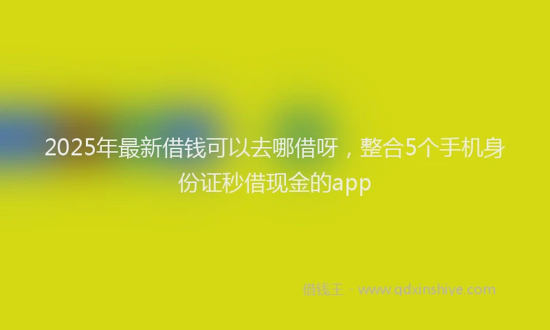 2025年最新借钱可以去哪借呀，整合5个手机身份证秒借现金的app