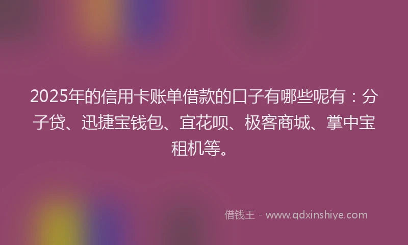 2025年的信用卡账单借款的口子有哪些呢有：分子贷、迅捷宝钱包、宜花呗、极客商城、掌中宝租机等。