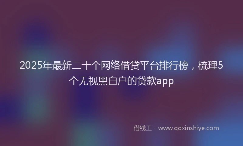 2025年最新二十个网络借贷平台排行榜，梳理5个无视黑白户的贷款app