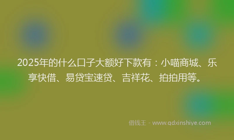 2025年的什么口子大额好下款有：小喵商城、乐享快借、易贷宝速贷、吉祥花、拍拍用等。