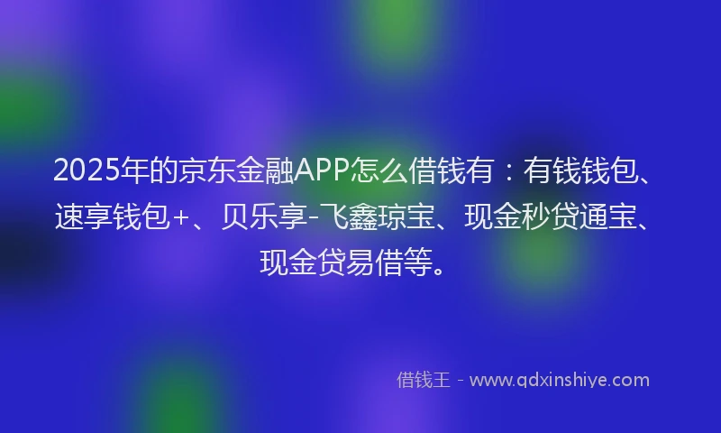 2025年的京东金融APP怎么借钱有：有钱钱包、速享钱包+、贝乐享-飞鑫琼宝、现金秒贷通宝、现金贷易借等。