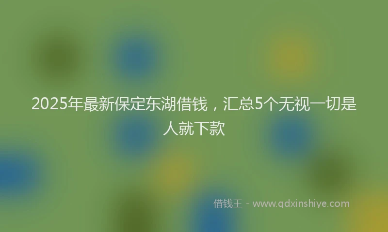2025年最新保定东湖借钱，汇总5个无视一切是人就下款