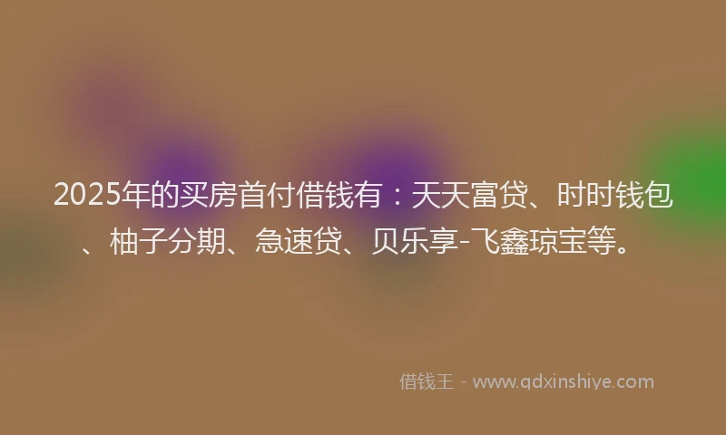 2025年的买房首付借钱有：天天富贷、时时钱包、柚子分期、急速贷、贝乐享-飞鑫琼宝等。
