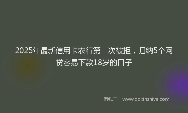 2025年最新信用卡农行第一次被拒，归纳5个网贷容易下款18岁的口子
