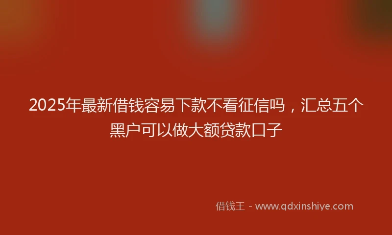 2025年最新借钱容易下款不看征信吗，汇总五个黑户可以做大额贷款口子