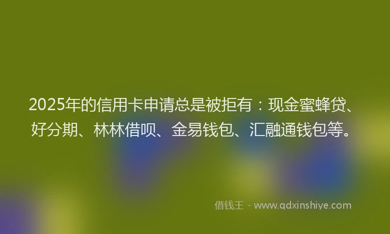 2025年的信用卡申请总是被拒有：现金蜜蜂贷、好分期、林林借呗、金易钱包、汇融通钱包等。