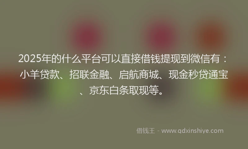 2025年的什么平台可以直接借钱提现到微信有：小羊贷款、招联金融、启航商城、现金秒贷通宝、京东白条取现等。