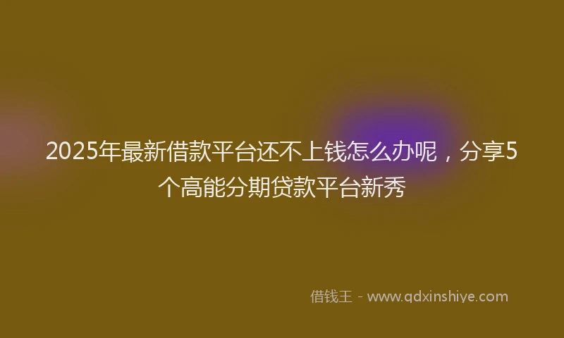 2025年最新借款平台还不上钱怎么办呢，分享5个高能分期贷款平台新秀