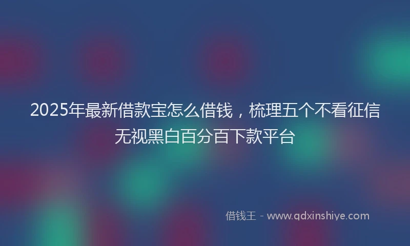 2025年最新借款宝怎么借钱，梳理五个不看征信无视黑白百分百下款平台