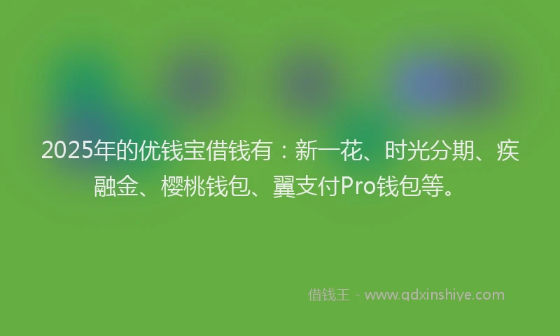 2025年的优钱宝借钱有：新一花、时光分期、疾融金、樱桃钱包、翼支付Pro钱包等。