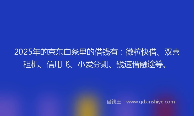 2025年的京东白条里的借钱有：微粒快借、双喜租机、信用飞、小爱分期、钱速借融途等。