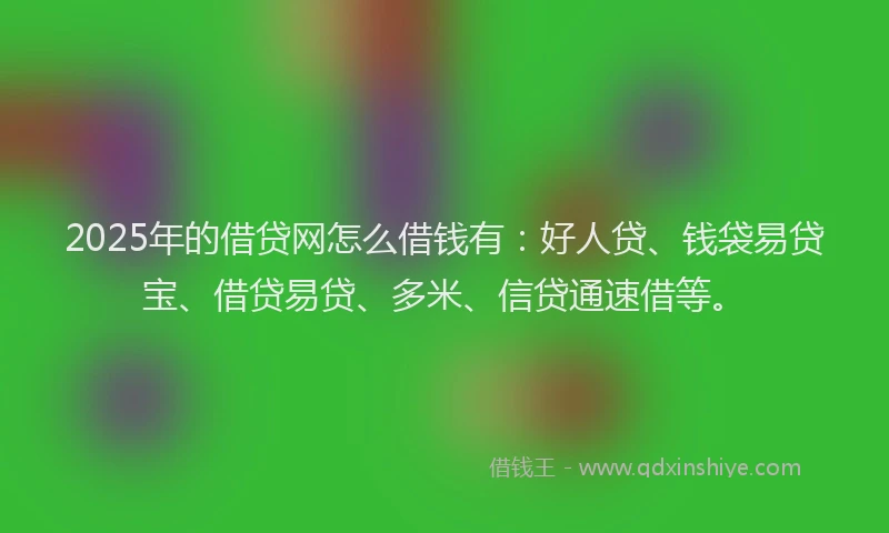 2025年的借贷网怎么借钱有：好人贷、钱袋易贷宝、借贷易贷、多米、信贷通速借等。