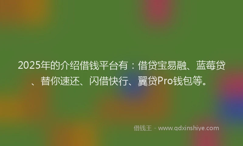 2025年的介绍借钱平台有：借贷宝易融、蓝莓贷、替你速还、闪借快行、翼贷Pro钱包等。