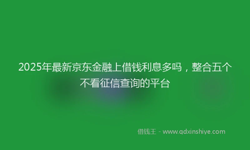 2025年最新京东金融上借钱利息多吗，整合五个不看征信查询的平台