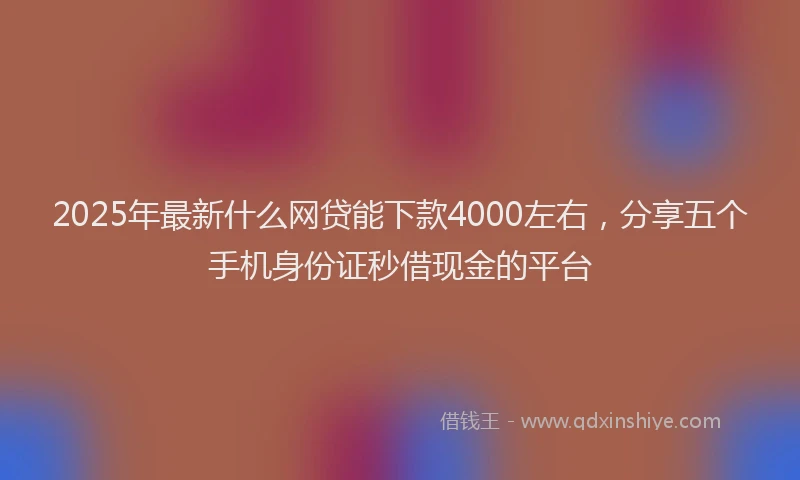 2025年最新什么网贷能下款4000左右，分享五个手机身份证秒借现金的平台