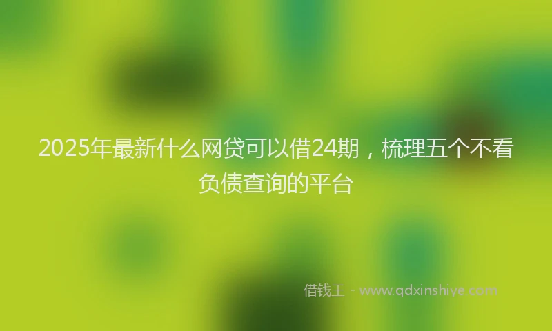 2025年最新什么网贷可以借24期，梳理五个不看负债查询的平台