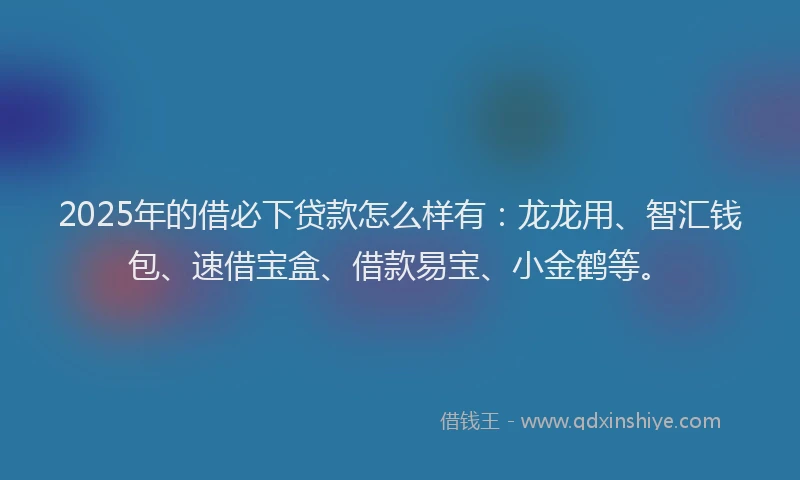 2025年的借必下贷款怎么样有：龙龙用、智汇钱包、速借宝盒、借款易宝、小金鹤等。