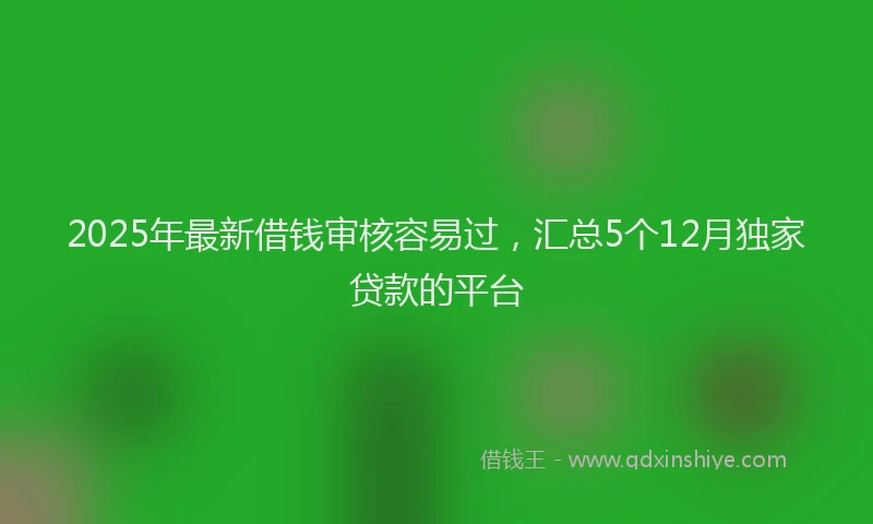 2025年最新借钱审核容易过，汇总5个12月独家贷款的平台